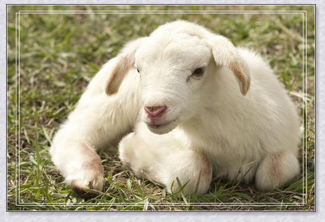 梦见父亲去世 梦见父亲去世