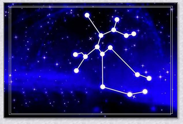 梦见一只可爱的海豚 梦见一只可爱的海豚