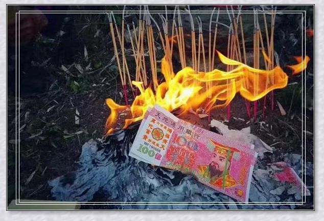 梦见含羞草 梦见含羞草