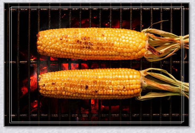 梦见猫和小老鼠 梦见猫和小老鼠