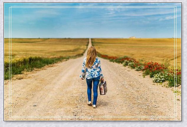 梦见两只狗 梦见两只狗