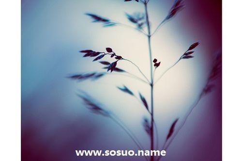 1974年12月14日生日图释 1974年12月14日生日图释