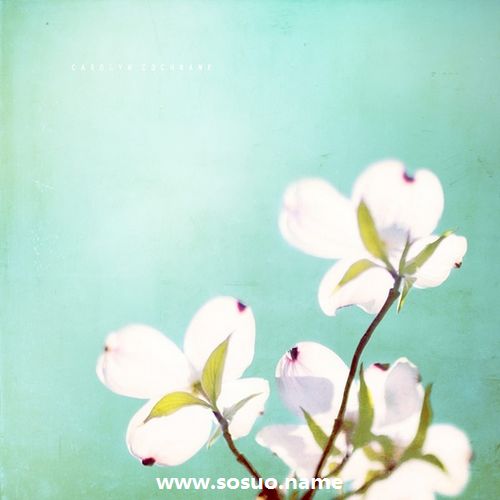 1975年12月14日生日图释 1975年12月14日生日图释