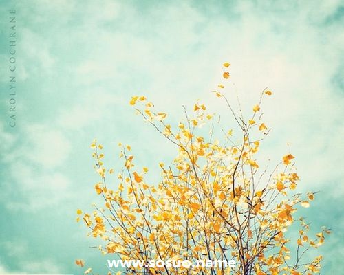 1975年12月30日生日图释 1975年12月30日生日图释