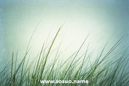 1976年12月18日生日图释 1976年12月18日生日图释