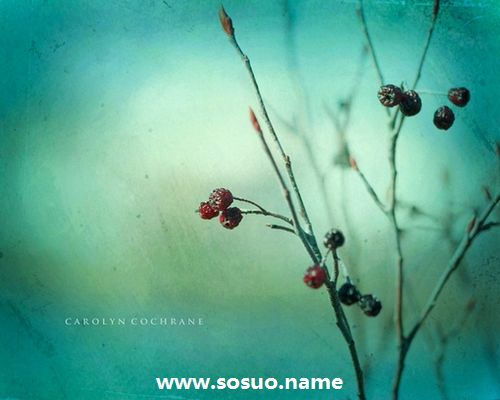 1975年12月28日生日图释 1975年12月28日生日图释