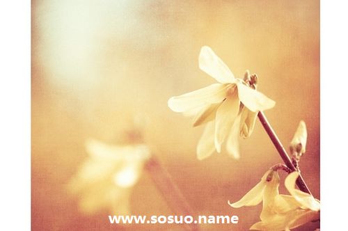 1976年12月28日生日图释 1976年12月28日生日图释