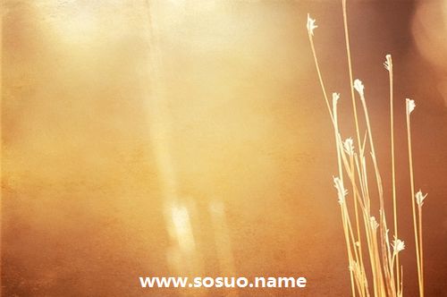 1976年12月26日生日图释 1976年12月26日生日图释