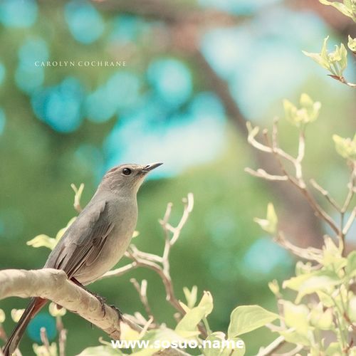 1988年12月23日生日图释 1988年12月23日生日图释