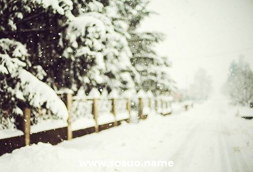 1996年12月11日生日图释 1996年12月11日生日图释