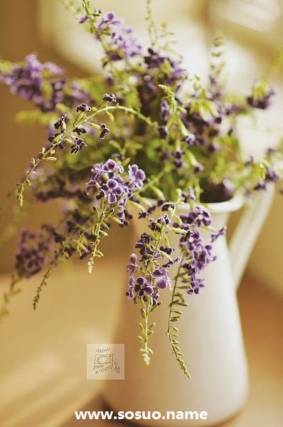 2017年12月5日生日图释 2017年12月5日生日图释