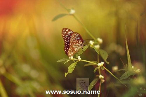 2017年12月29日生日图释 2017年12月29日生日图释