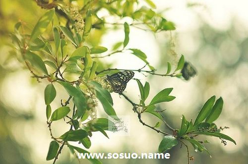 2019年12月3日生日图释 2019年12月3日生日图释