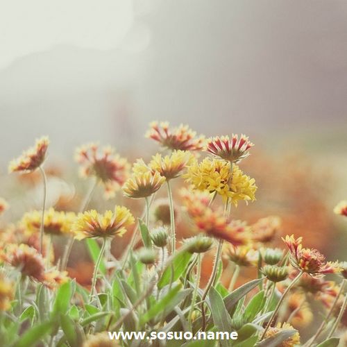 2017年12月28日生日图释 2017年12月28日生日图释