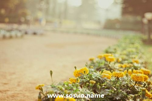 2018年12月27日生日图释 2018年12月27日生日图释