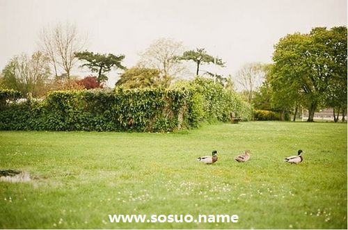 2019年9月3日生日图释 2019年9月3日生日图释