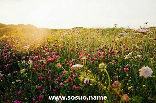 2018年9月30日生日图释 2018年9月30日生日图释