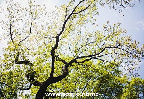 2019年2月18日生日图释 2019年2月18日生日图释