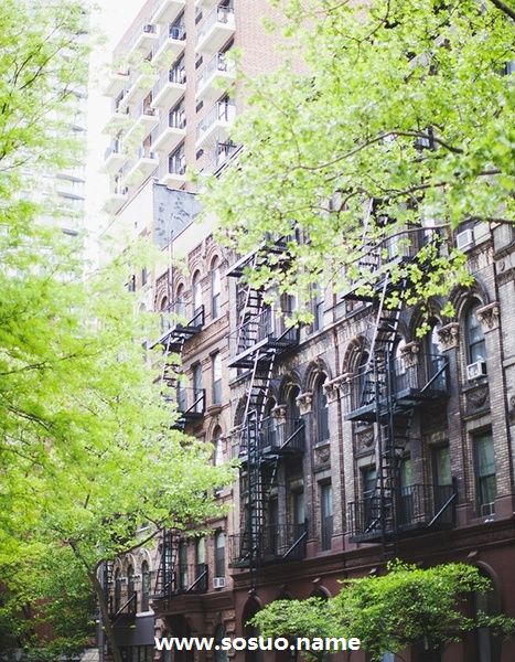 2018年2月20日生日图释 2018年2月20日生日图释