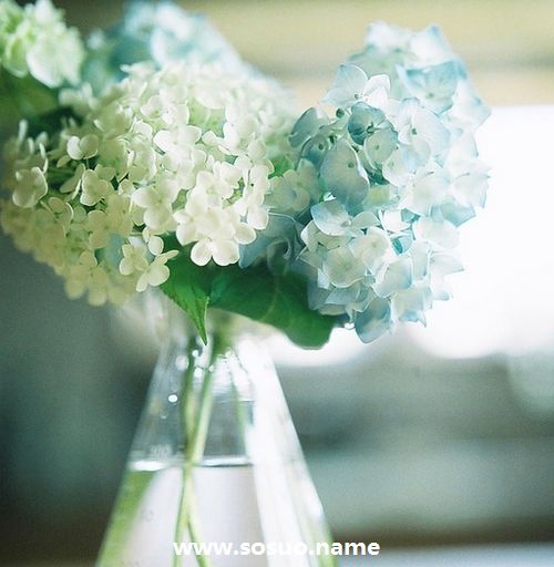 1976年10月6日生日图释 1976年10月6日生日图释