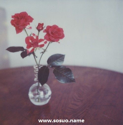 1976年10月2日生日图释 1976年10月2日生日图释