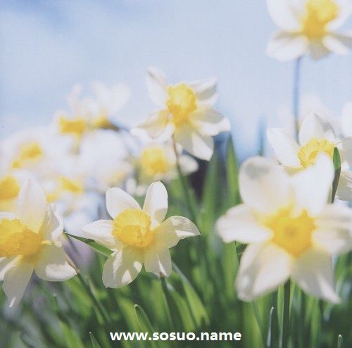 1980年10月18日生日图释 1980年10月18日生日图释