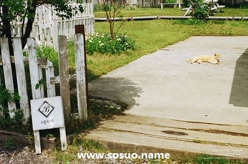 2009年10月8日生日图释 2009年10月8日生日图释