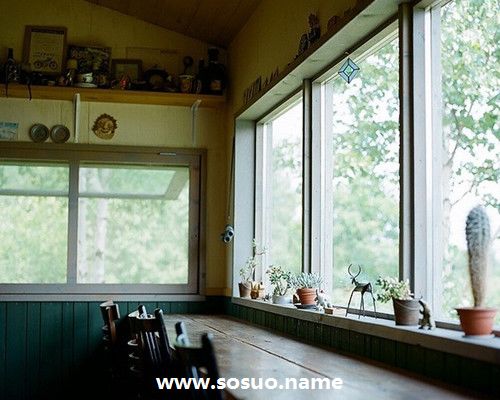 1984年11月5日生日图释 1984年11月5日生日图释