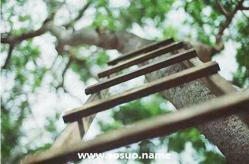 2009年11月22日生日图释 2009年11月22日生日图释