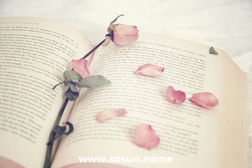 2019年11月4日生日图释 2019年11月4日生日图释