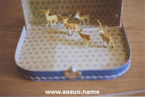 2019年11月3日生日图释 2019年11月3日生日图释