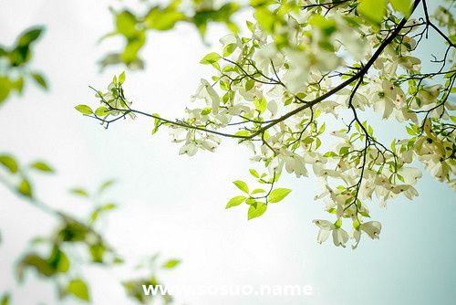 2019年11月16日生日图释 2019年11月16日生日图释