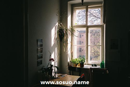 1968年8月25日生日图释 1968年8月25日生日图释