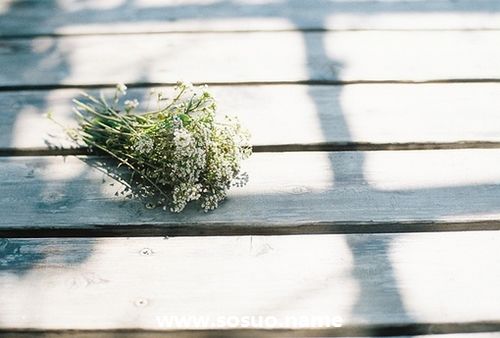 1976年8月29日生日图释 1976年8月29日生日图释